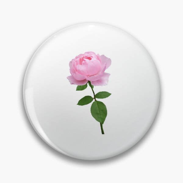 Item preview, Elegant Pink Rose designed and sold by silviaol.