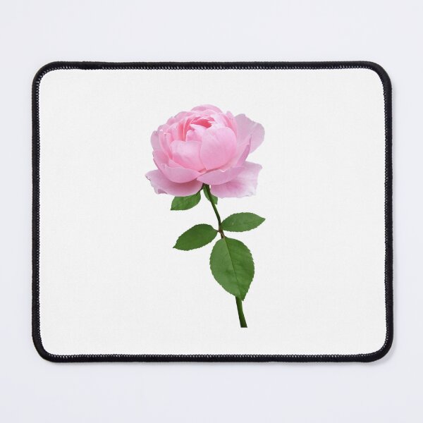 Item preview, Elegant Pink Rose designed and sold by silviaol.