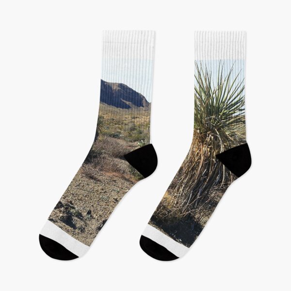 Item preview, Dessert cactuses designed and sold by zumi.