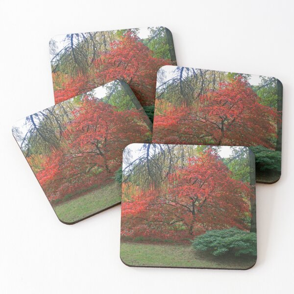 Item preview, Autumn Colours 2014 designed and sold by RedHillDigital.