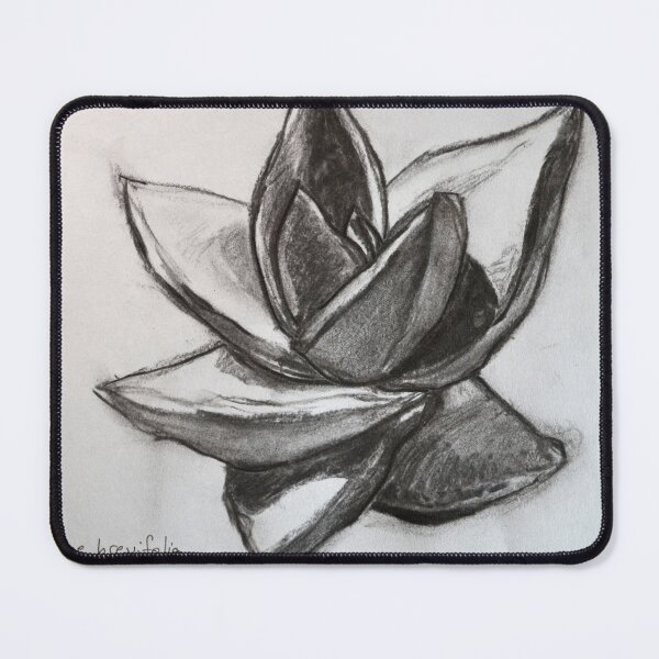 Item preview, Aloe Plant Botanical Charcoal Pencil Sketch by McLane Funkhouser designed and sold by McLane Funkhouser.