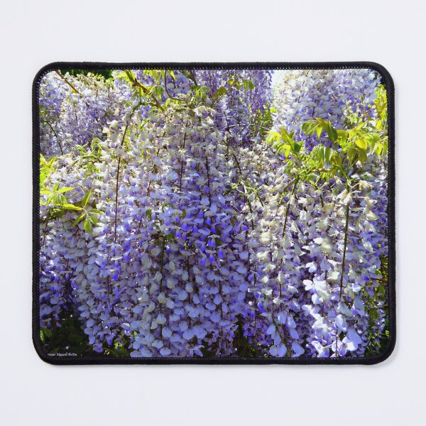 Item preview, Wisteria designed and sold by Charmiene Maxwell-Batten.