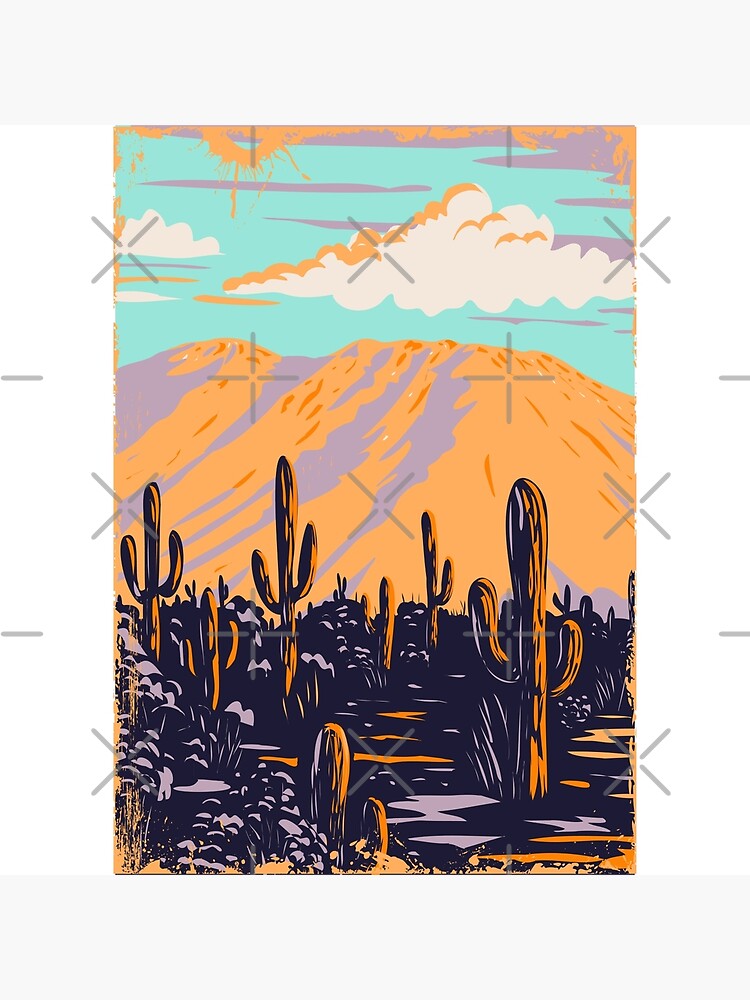 Saguaro National Park Patch - Landscape Banner