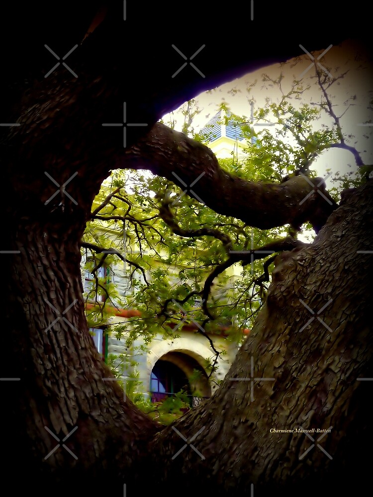 "The Hanging Tree in Goliad, Texas" Photographic Print for Sale by Sita
