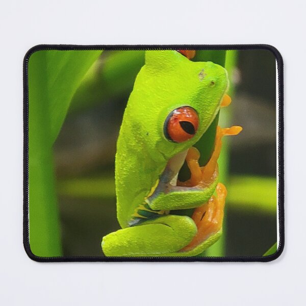 Item preview, Red Eyed Tree Frog designed and sold by Alla Gill.