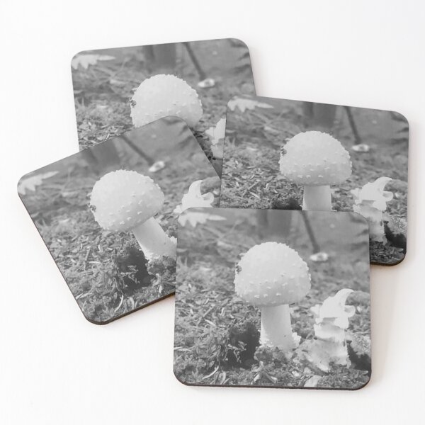 Item preview, Black and White Mushroom Photograph - Art designed and sold by jolabrese.