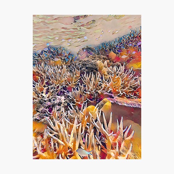 Item preview, Rainbow Reef - Coral Reef Artwork from Natewa Bay, Vanua Levu, Fiji designed and sold by OceanVentures.