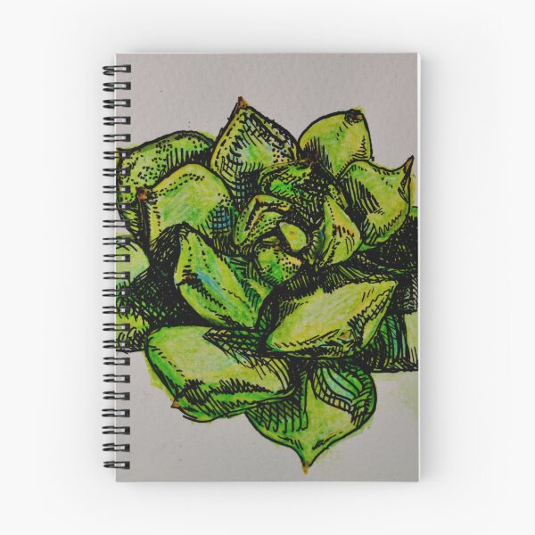 Item preview, Echeveria Derenbergii Painted Lady Succulent Botanical Watercolor Pencil Illustration by McLane Funkhouser designed and sold by McLane Funkhouser.