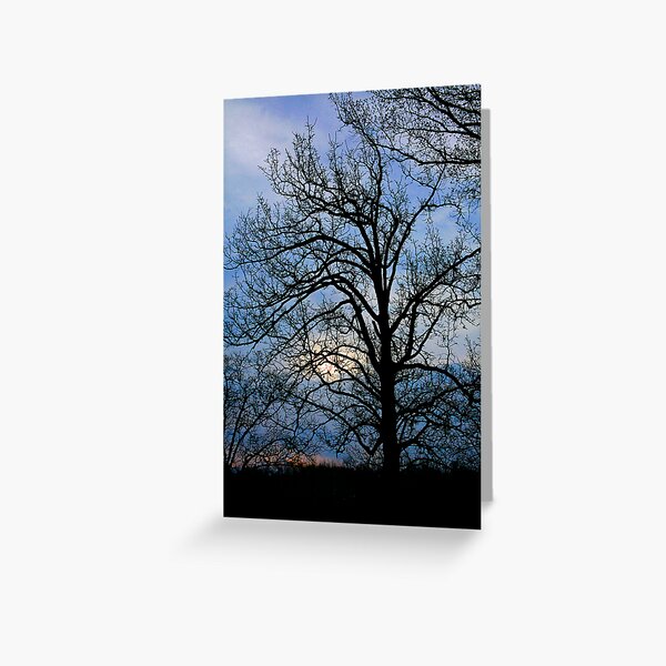 Chilly Sunrise Greeting Card