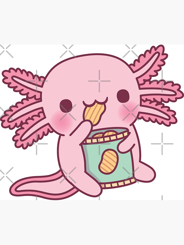 Funny Snaxolotl Axolotl Munching On Potato Chips Photographic Print for  Sale by rustydoodle