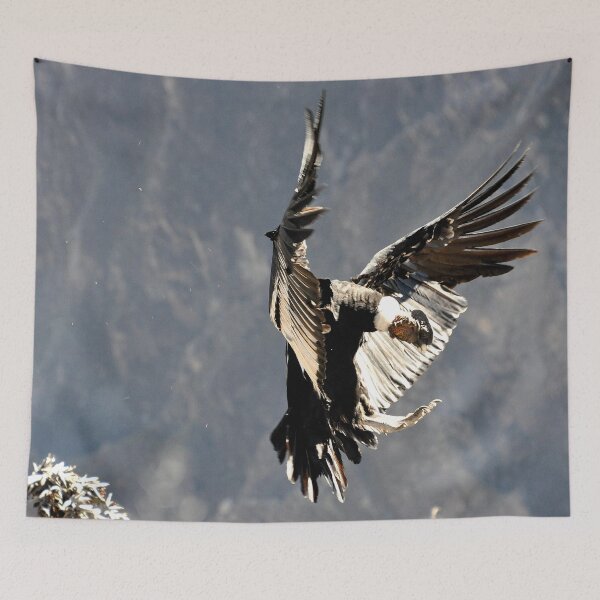 Item preview, Peru - colca canyon, Condor designed and sold by franck380.