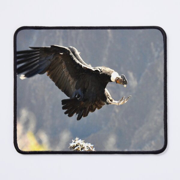 Item preview, Peru - colca canyon, Condor designed and sold by franck380.