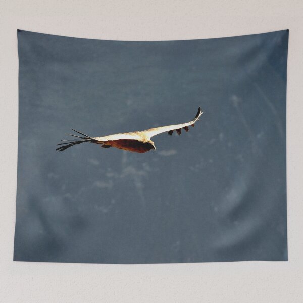 Item preview, Peru - colca canyon, Condor designed and sold by franck380.