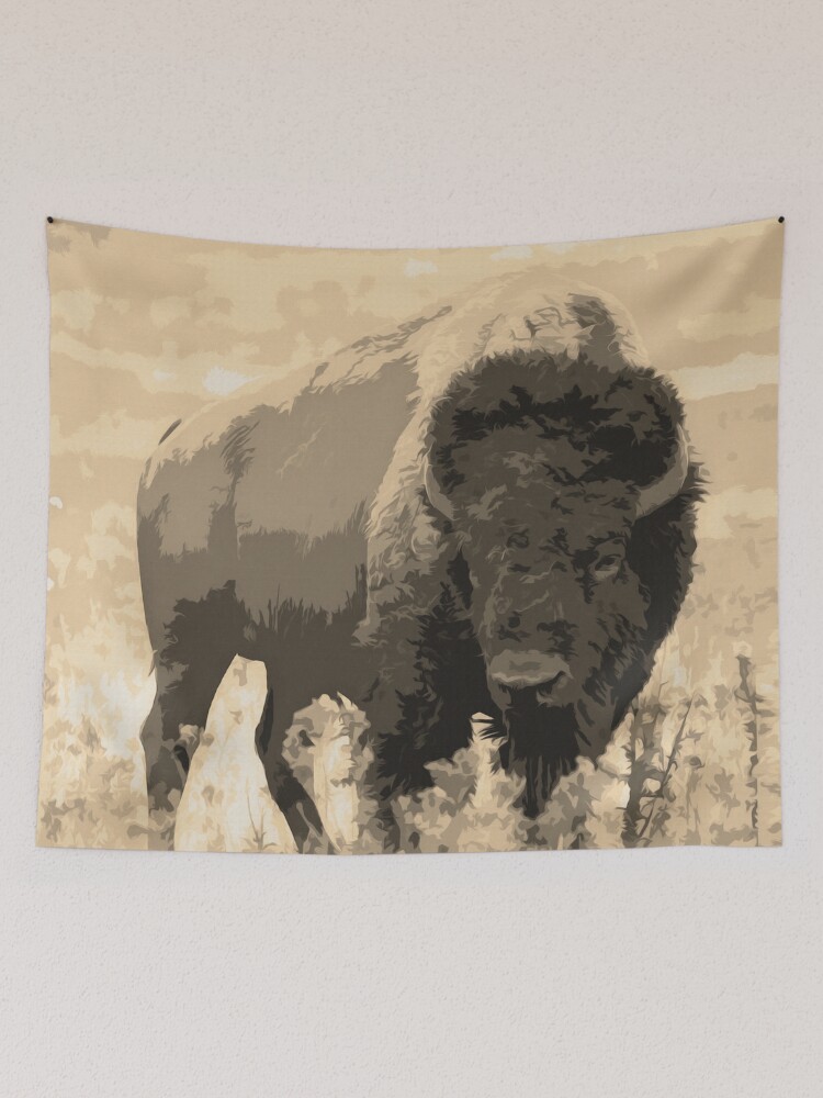 Wild Buffalo American Bison