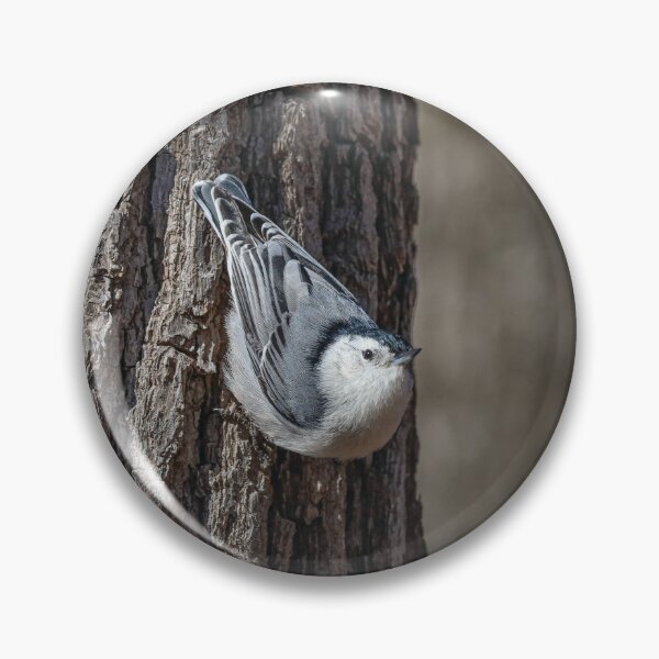 Item preview, White Breasted Nuthatch designed and sold by OneCreativePup.