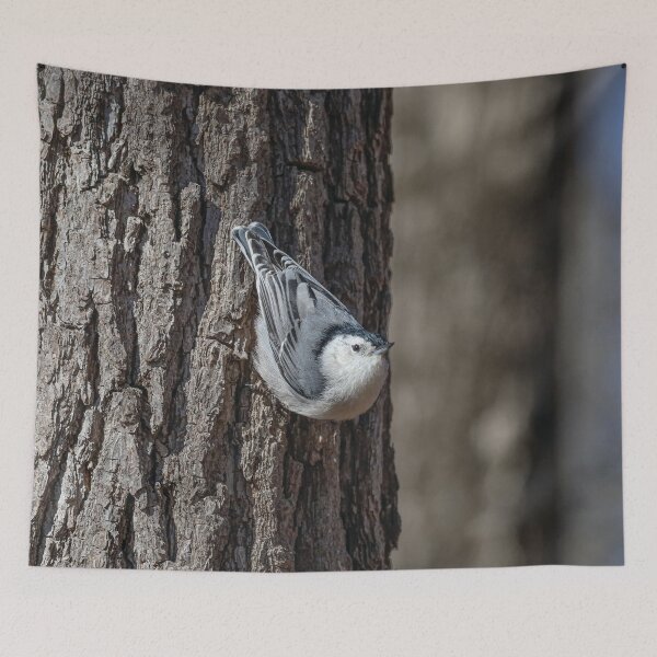 Item preview, White Breasted Nuthatch designed and sold by OneCreativePup.