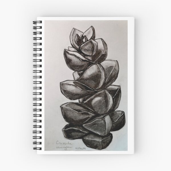 Item preview, Crassula Moonglow Charcoal Pencil Botanical Plant Sketch by McLane Funkhouser designed and sold by McLane Funkhouser.