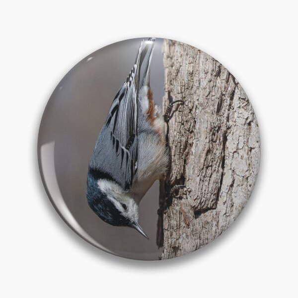 Item preview, White Breasted Nuthatch designed and sold by OneCreativePup.