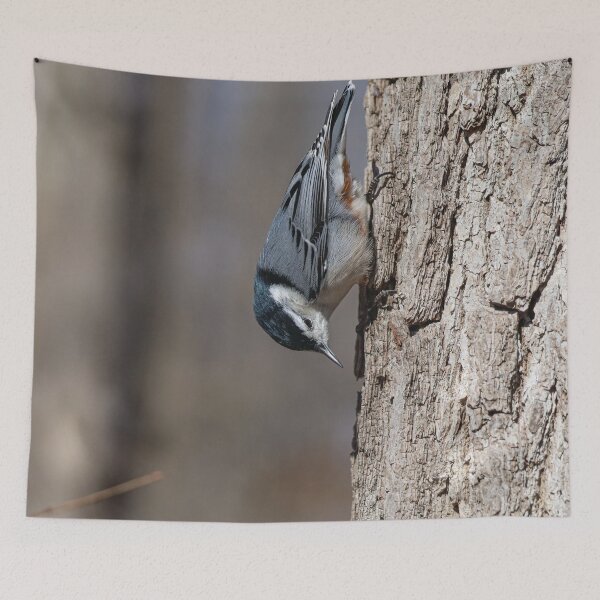 Item preview, White Breasted Nuthatch designed and sold by OneCreativePup.