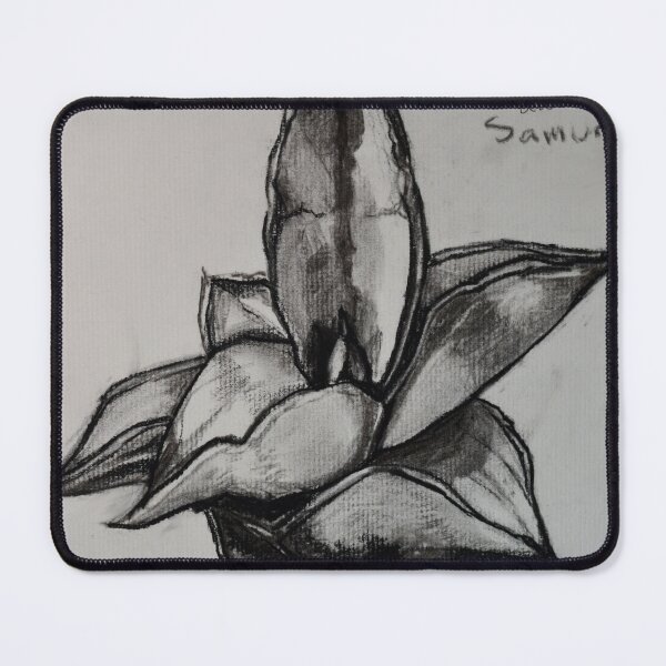Item preview, Snake Plant Sanseveria Ehrenbergii Dwarf Samurai Botanical Charcoal Pencil Drawing by McLane Funkhouser designed and sold by McLane Funkhouser.