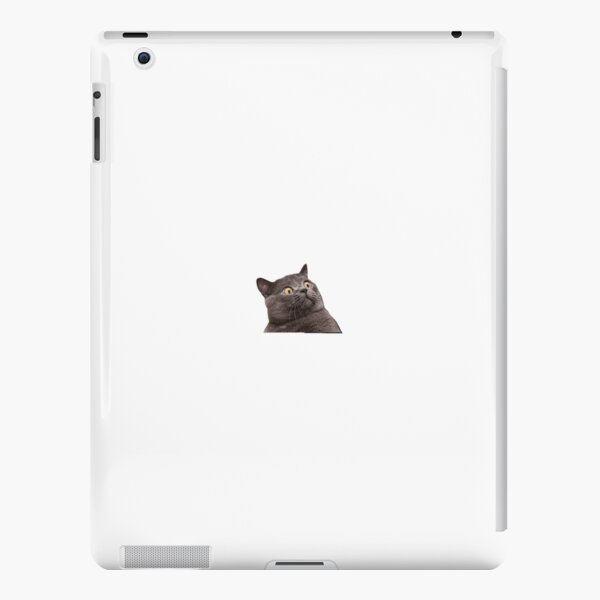 angry cat face meme iPad Case & Skin by auroragalavis