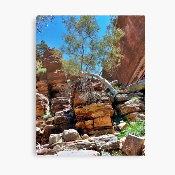 Item preview,  Majestic Beauty of Z Bend Lookout in Karaballi National Park designed and sold by Colin Dixon.