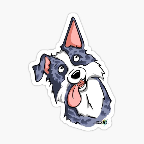 Border Collie, Merle Sticker