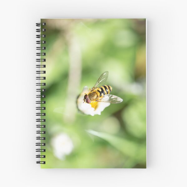 Item preview, Hover fly on flower mimicking a wasp designed and sold by AnnaKT.