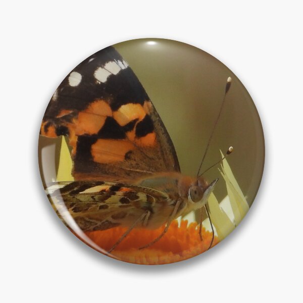 Item preview, Battered Butterfly feeding on Everlasting Daisy designed and sold by Linda Sijpkes.