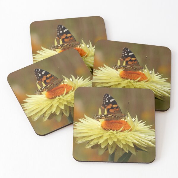 Item preview, Battered Butterfly feeding on Everlasting Daisy designed and sold by Linda Sijpkes.