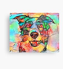 Collie Border Metal Print