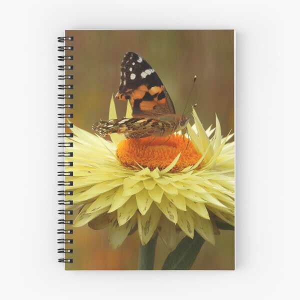 Item preview, Battered Butterfly feeding on Everlasting Daisy designed and sold by Linda Sijpkes.