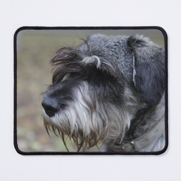 Item preview, focus shot of schnauser designed and sold by Alhendy Store.
