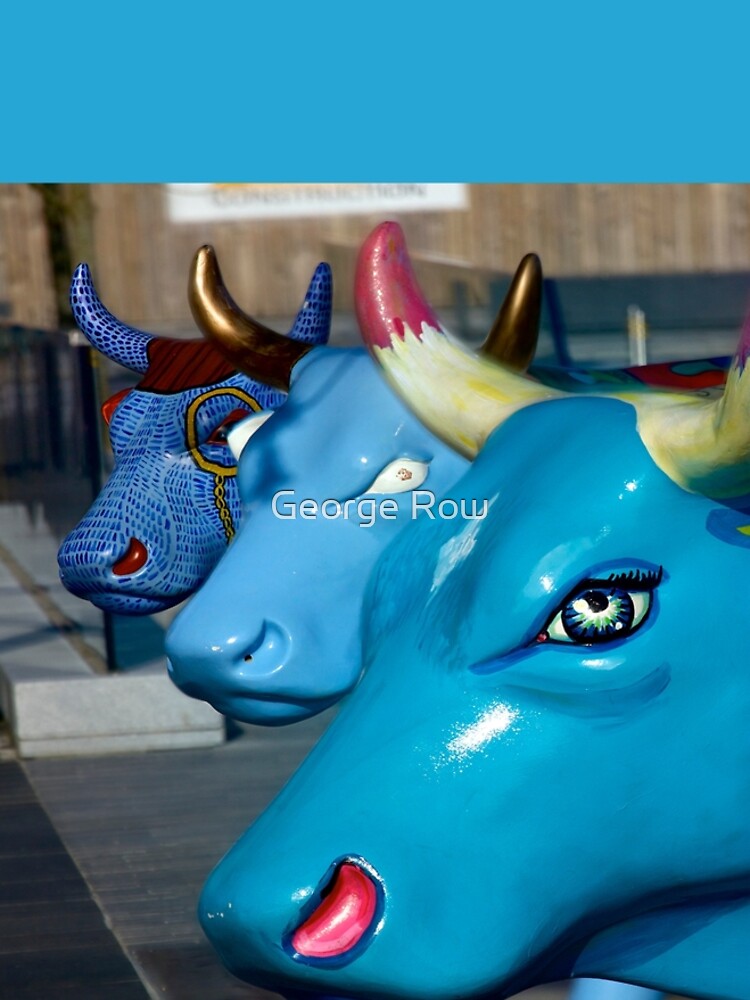 Three Cows on Parade, Ebrington Sq, Derry by VeryIreland