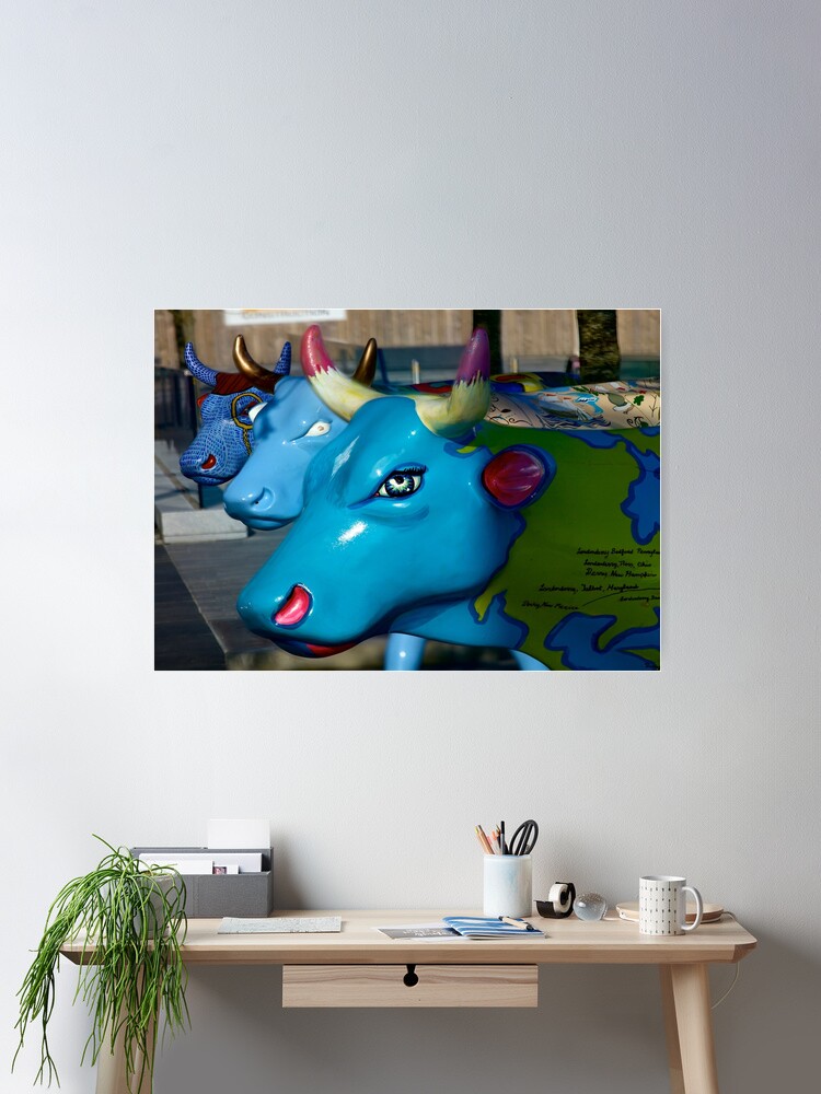 Thumbnail 1 of 3, Poster, Three Cows on Parade, Ebrington Sq, Derry designed and sold by VeryIreland.