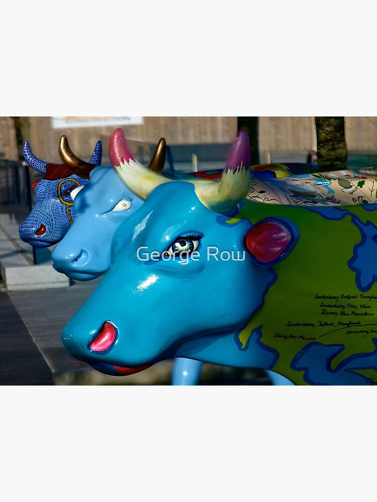 Thumbnail 3 of 3, Poster, Three Cows on Parade, Ebrington Sq, Derry designed and sold by VeryIreland.