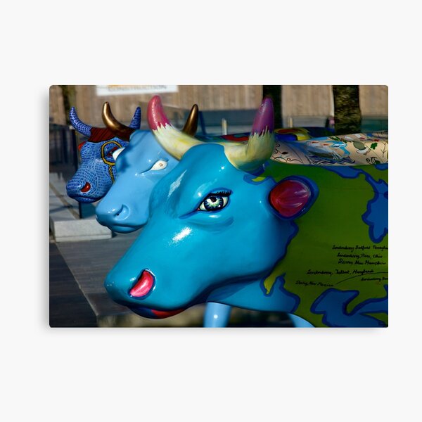 Three Cows on Parade, Ebrington Sq, Derry Canvas Print