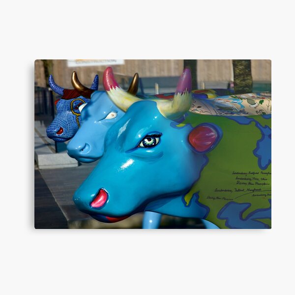 Three Cows on Parade, Ebrington Sq, Derry Metal Print