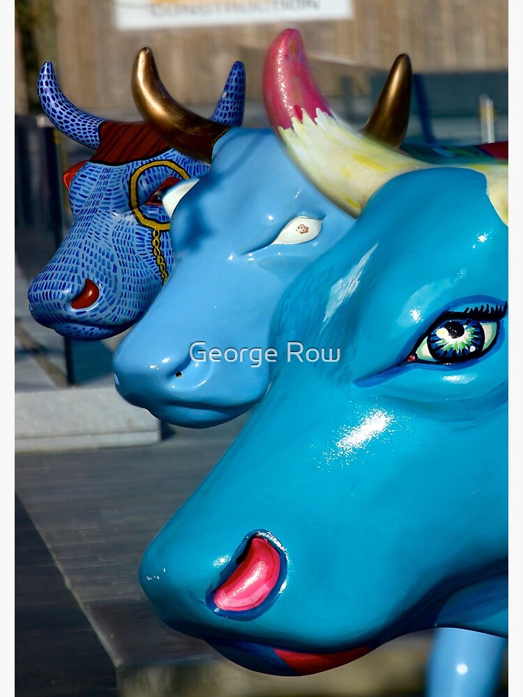 Three Cows on Parade, Ebrington Sq, Derry by VeryIreland