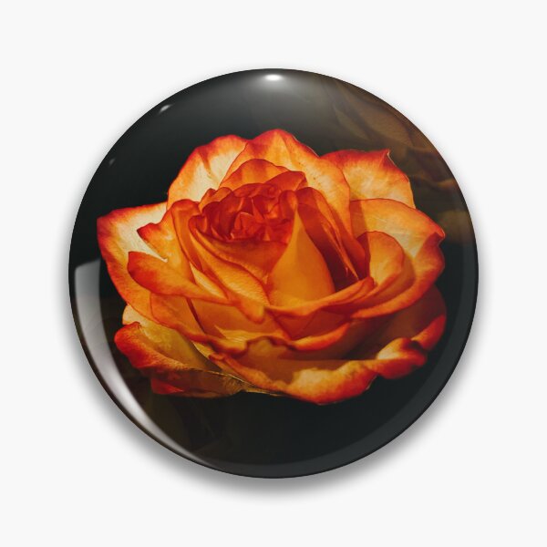 Item preview, Sunset Rose designed and sold by OminousT.