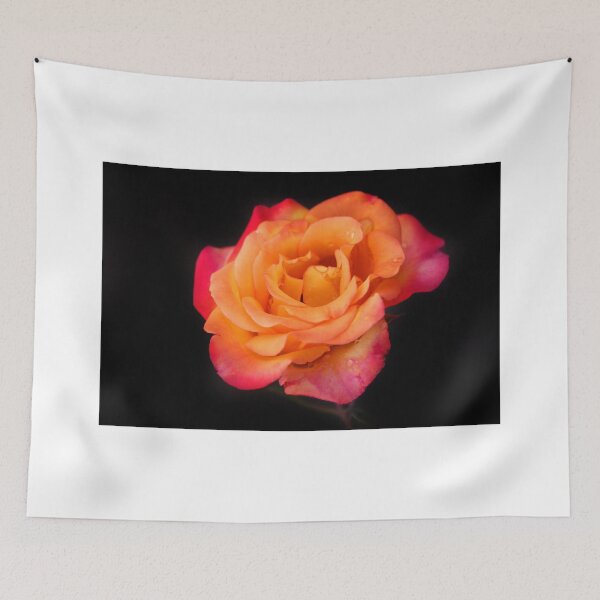 Item preview, Beautiful rose on black background designed and sold by olena2552.