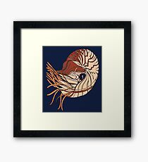 Nautilus Drawing Framed Print