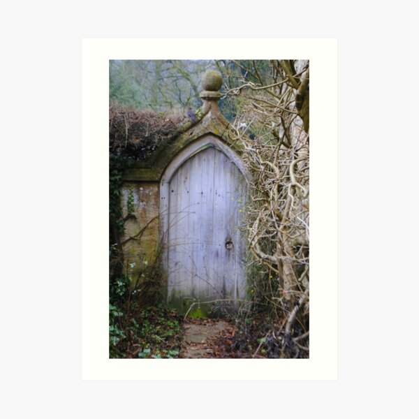 Door of imagination Art Print