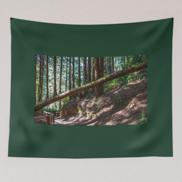 Item preview, USA. California. Trees of Mystery. Candelabra Tree. designed and sold by vadim19.