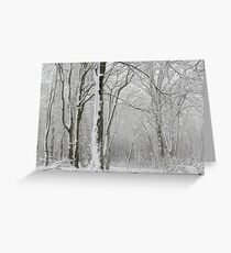 Whiteness Greeting Card