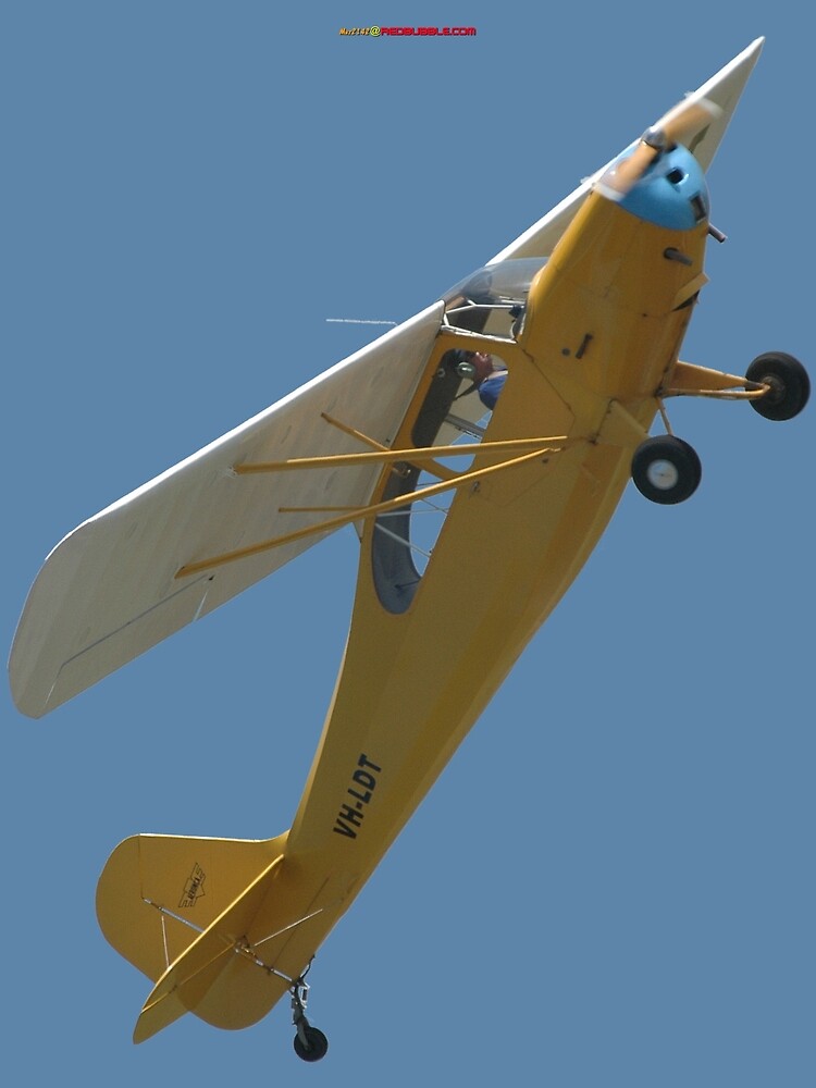 Plane Simple Aeronca Champ VH LDT