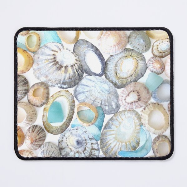 Item preview, Limpets shells and seaglass designed and sold by LisaLeQuelenec.
