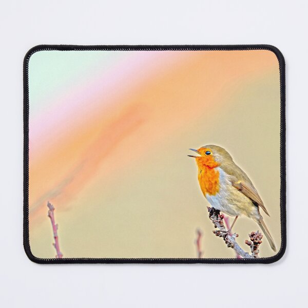 Item preview, I can sing a rainbow designed and sold by George Kelsey.
