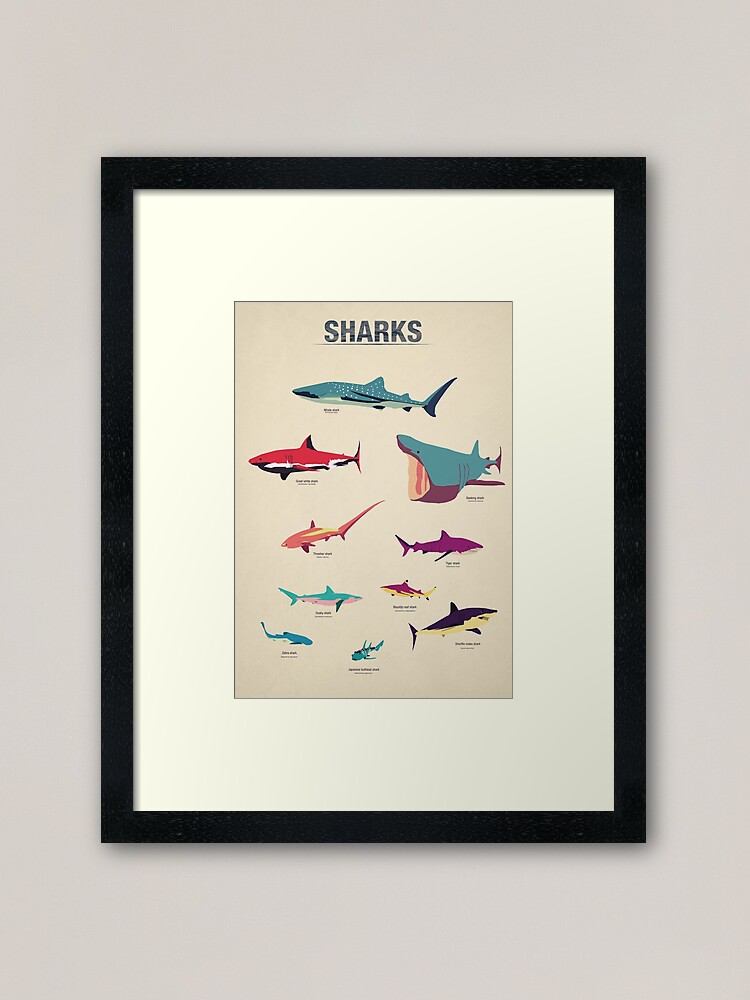 Alternate view of Sharks Framed Art Print