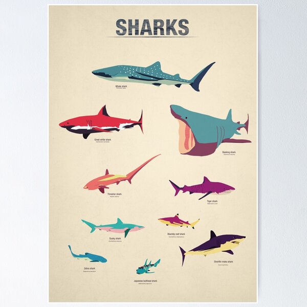 Item preview, Sharks designed and sold by greatskybear.